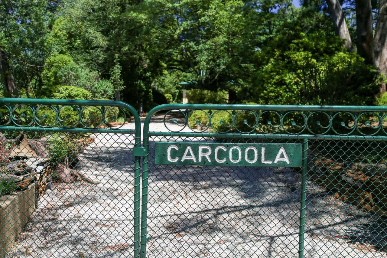 Willa Carcoola Blackheath Zewnętrze zdjęcie